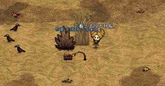 2024饥荒要如何移植植物