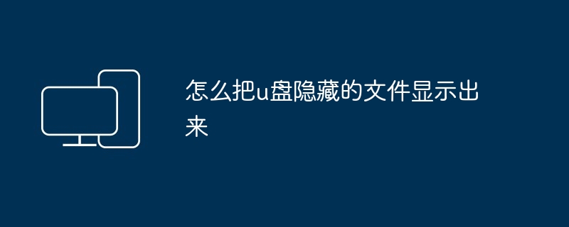 2024怎么把u盘隐藏的文件显示出来