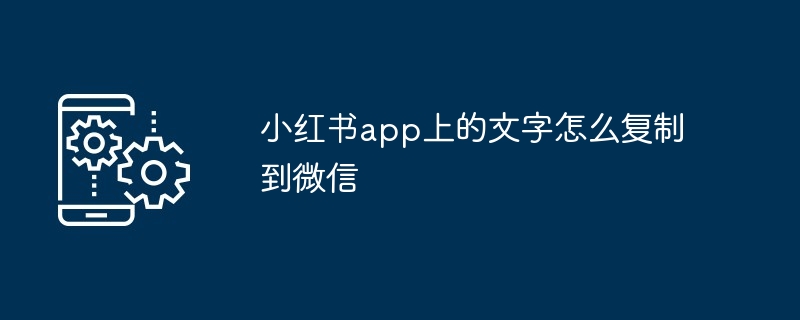 2024小红书app上的文字怎么复制到微信