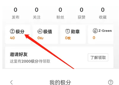 极氪app怎么自己查询的极分明细