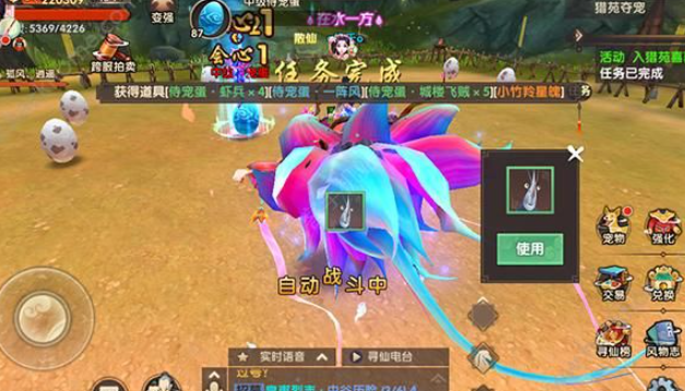 2024年《寻仙手游》侍宠获取方法
