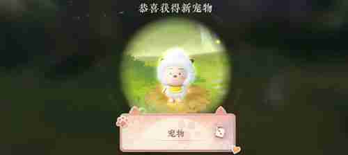 2024年逆水寒懒羊羊怎么捉