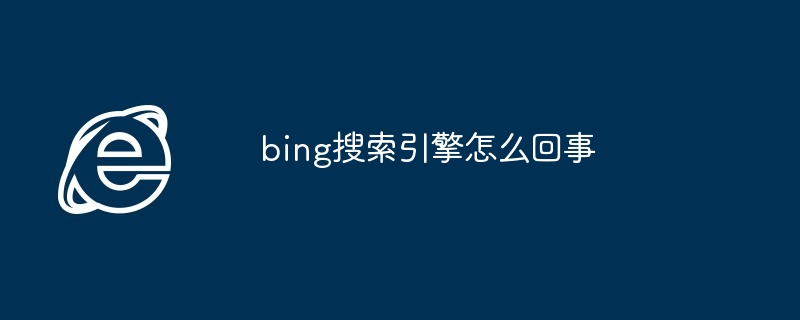 2024年bing搜索引擎怎么回事