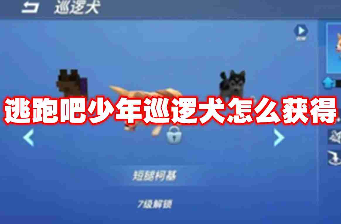2024年逃跑吧少年巡逻犬怎么获得 逃跑吧少年巡逻犬获得攻略