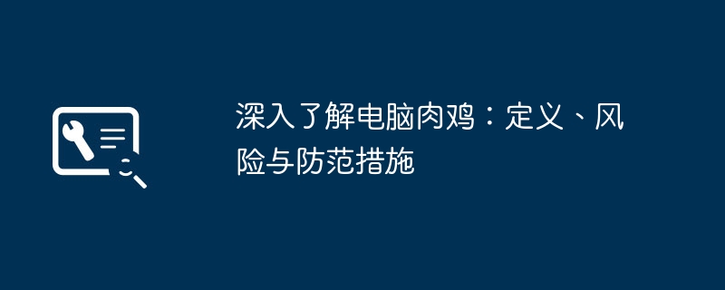 2024年深入了解电脑肉鸡：定义、风险与防范措施