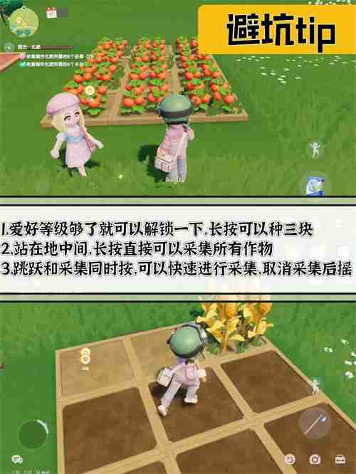 2024年心动小镇新手前期怎么赚钱 心动小镇新手前期赚钱攻略
