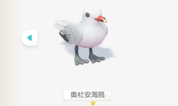 2024年心动小镇奥杜安海鸥位置在哪 心动小镇奥杜安海鸥位置一览