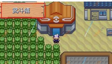 2024年口袋妖怪漆黑的魅影5.0超梦怎么抓 口袋妖怪漆黑的魅影攻略超梦怎么得到