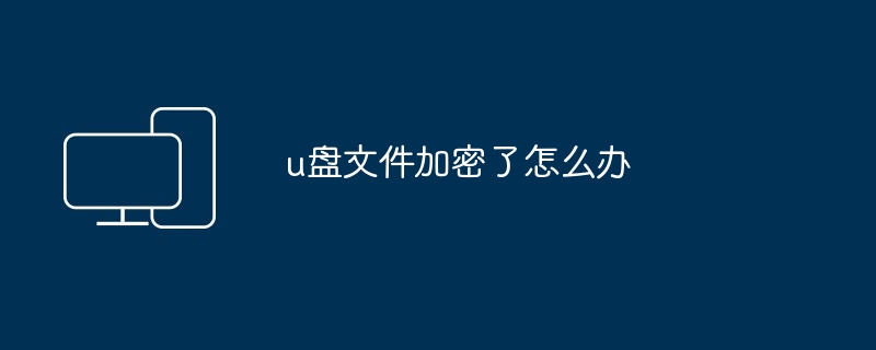 2024年u盘文件加密了怎么办