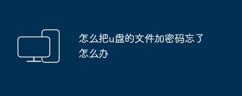 2024年怎么把u盘的文件加密码忘了怎么办