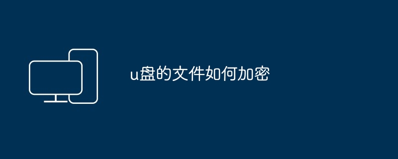 2024年u盘的文件如何加密