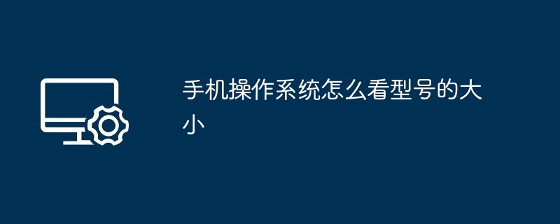 2024年手机操作系统怎么看型号的大小