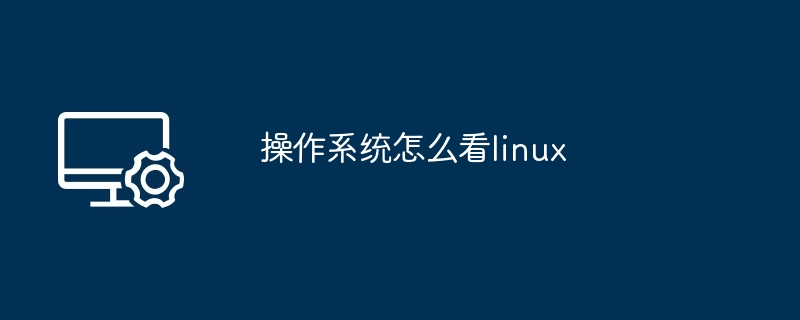 2024年操作系统怎么看linux