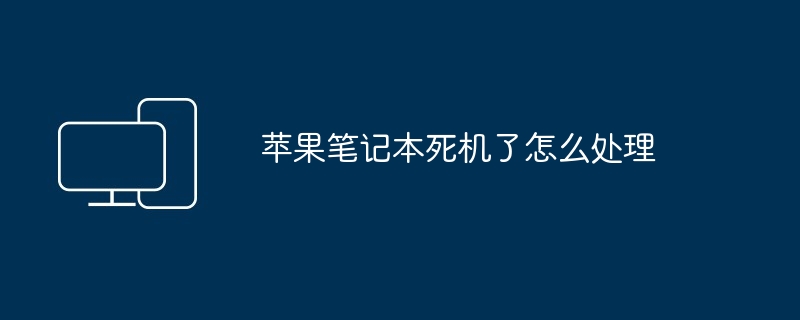 2024年苹果笔记本死机了怎么处理