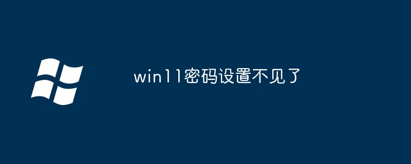 2024年win11密码设置不见了