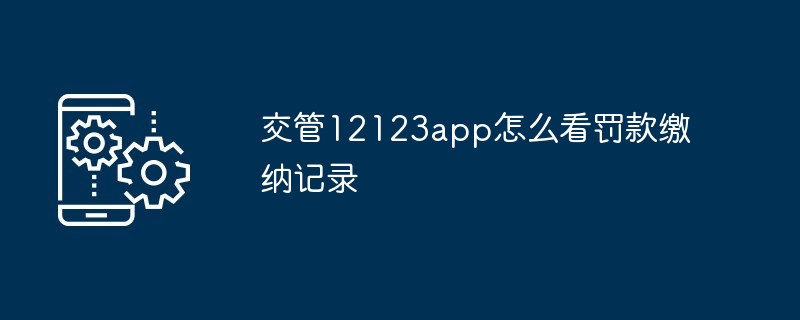 2024年交管12123app怎么看罚款缴纳记录