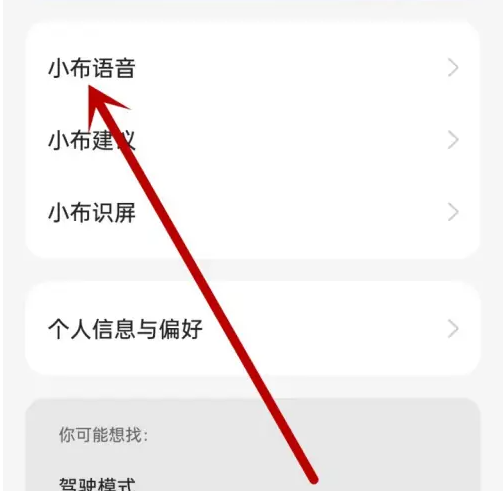 2024年小布助手怎么开启查找功能 开启查找功能操作方法