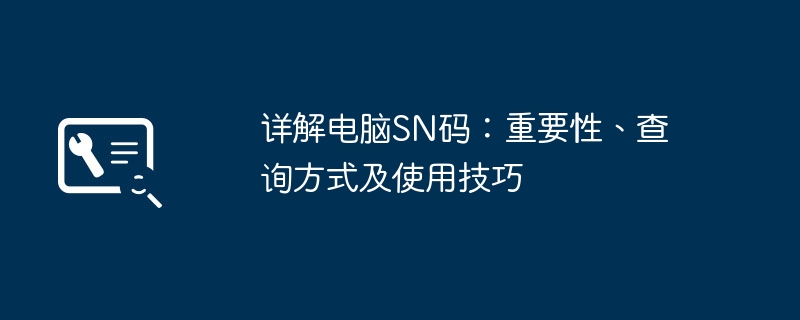 2024年详解电脑SN码：重要性、查询方式及使用技巧