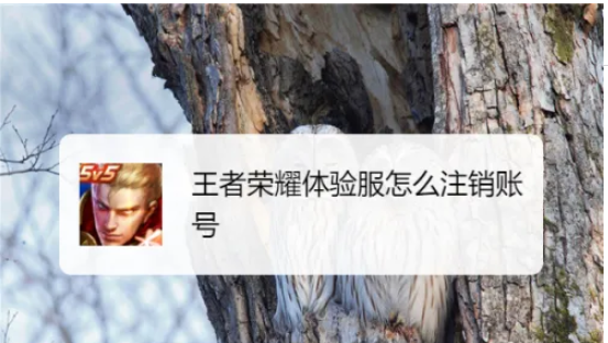2024年王者荣耀体验服怎么注销 王者荣耀体验服怎么注销账号