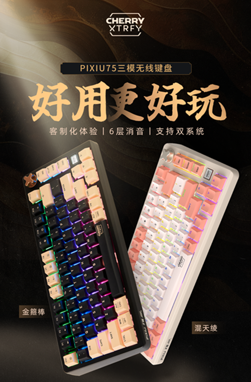 2024年王者无双 CHERRY赞助2024FSPL职业联赛总决赛
