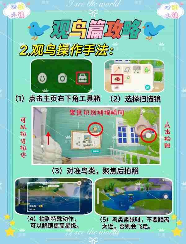 2024年心动小镇如何观鸟 心动小镇观鸟攻略介绍