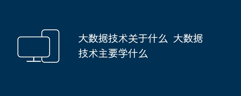 2024年大数据技术关于什么  大数据技术主要学什么