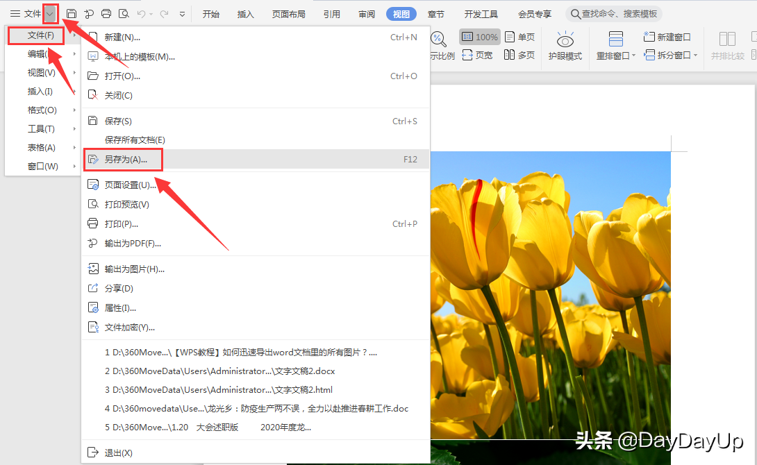 如何快速提取Word文档图片-高效导出Word图片技巧
