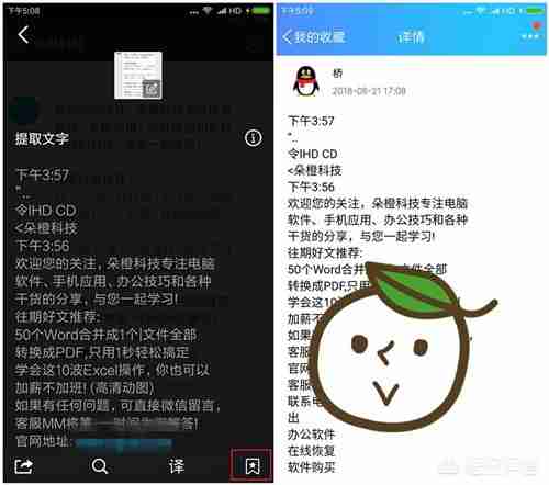 如何将图片转化为word格式-图片转word教程