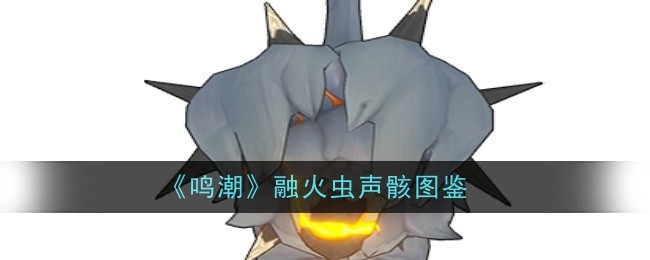 鸣潮融火虫声骸图鉴-鸣潮融火虫声骸深度解析
