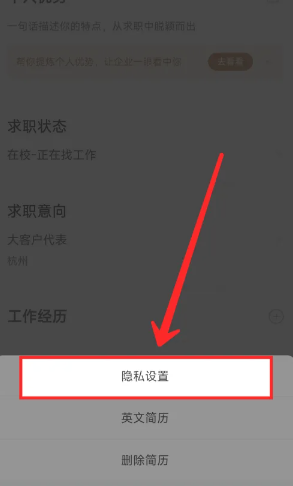 智联招聘屏蔽公司-轻松隐藏前雇主