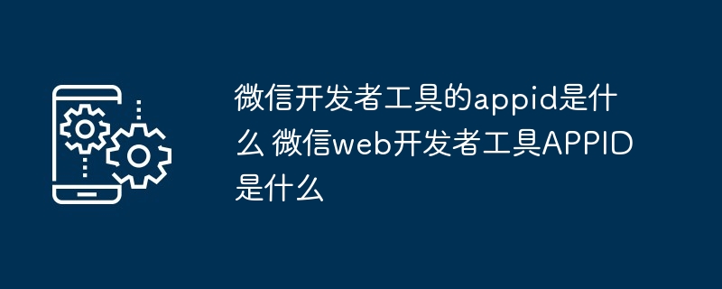 微信开发者工具APPID解析-微信web开发者工具APPID详解