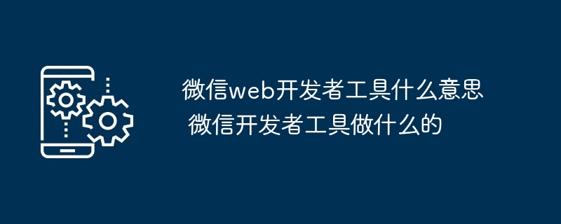 微信web开发者工具-微信开发者工具功能解析