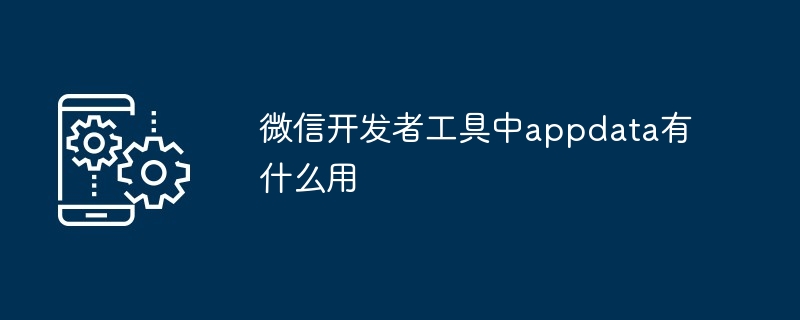 微信开发者工具中appdata作用解析