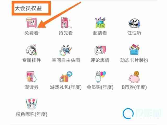 哔哩哔哩大会员权益揭秘