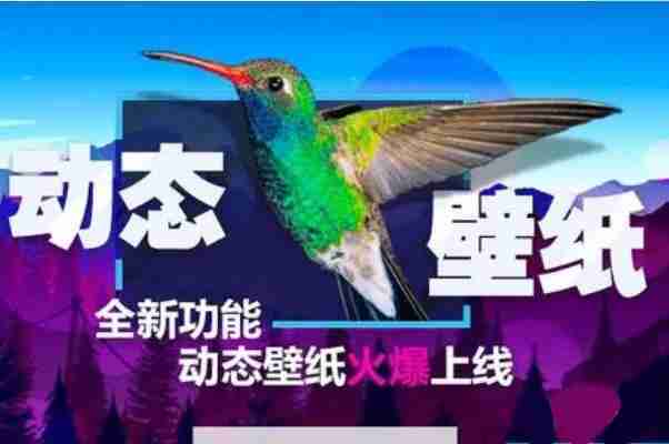 壁纸软件下载排行榜免费-免费壁纸软件排行榜前十名