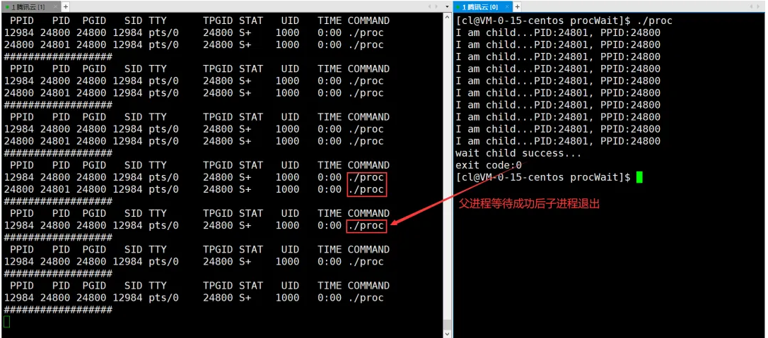 深入解析Linux进程控制技巧