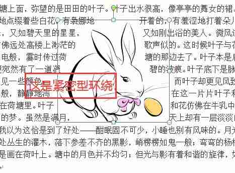 Word图文混排技巧全解析