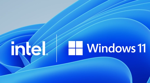 win11word四分窗口操作指南