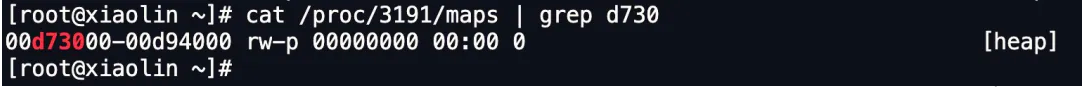 Linux内存分配策略全解析