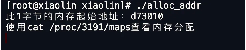 Linux内存分配策略全解析