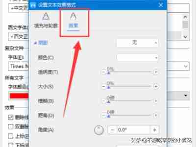 Word文本效果设置技巧揭秘