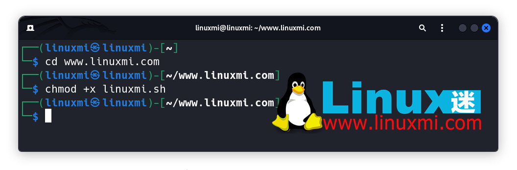 深入解析Linux-chmod-u+x与+x区别