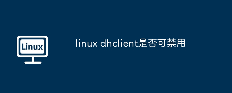 linux-dhclient禁用指南