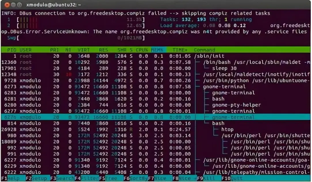 Linux内存使用查看技巧全解析