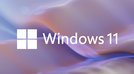 win11分辨率异常解决技巧