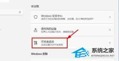 Win11关闭开发者模式技巧