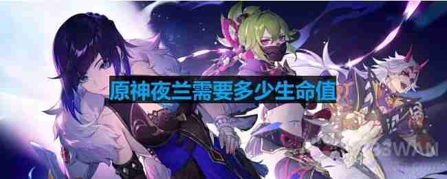 原神夜兰生命值堆叠攻略