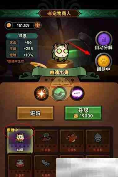 迷雾大陆宠物跟随技巧揭秘