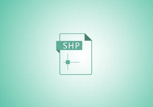 shp文件格式详解与应用指南