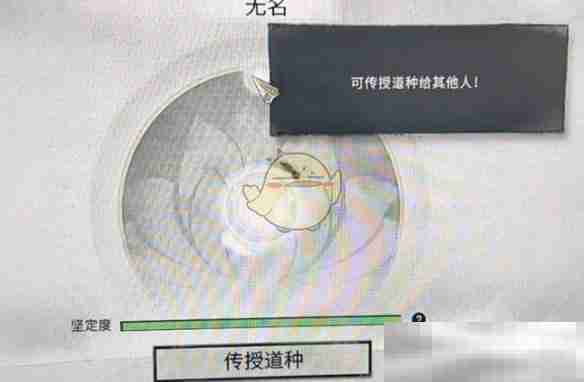 鬼谷八荒道种选择终极指南